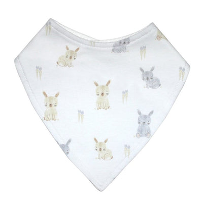 Mister Fly Dribble Bib - Bunny And Carrots