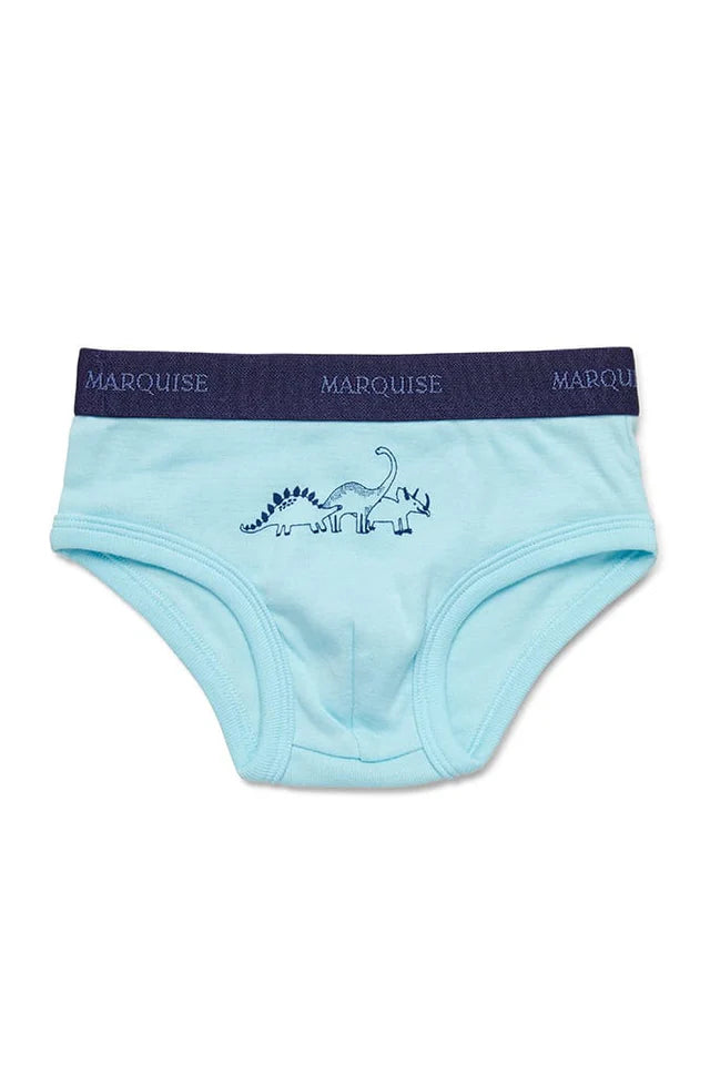 Marquise Boys Dinosaurs Underwear 2 Pack