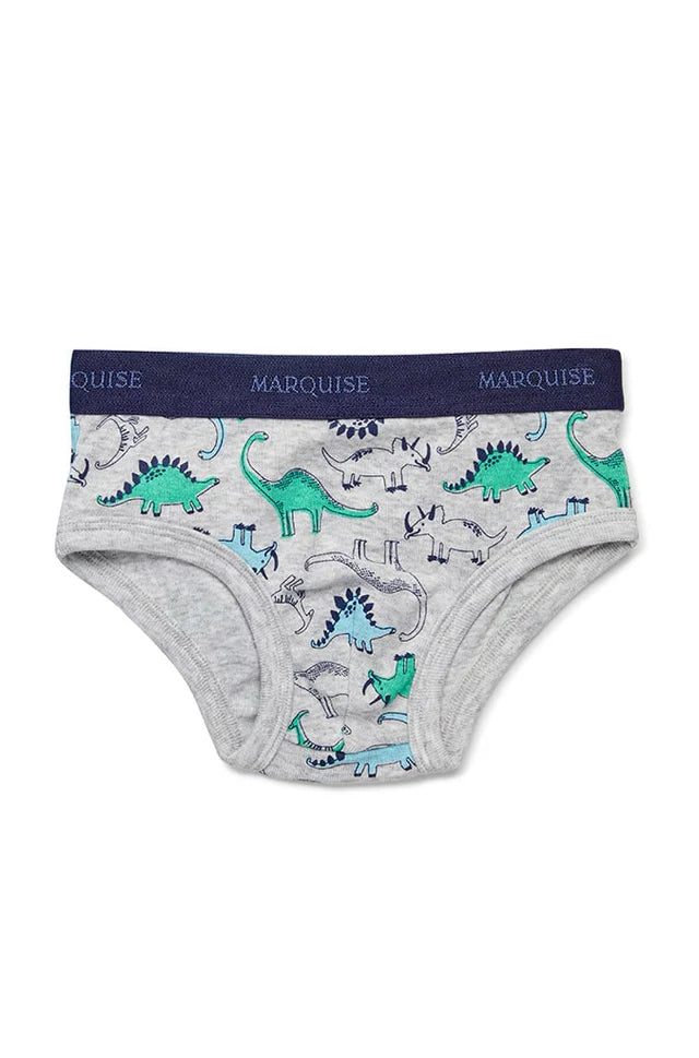 Marquise Boys Dinosaurs Underwear 2 Pack