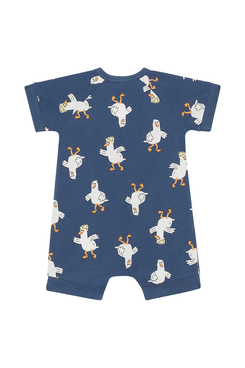 Bonds Zip Romper - Guss The Seagull Navy