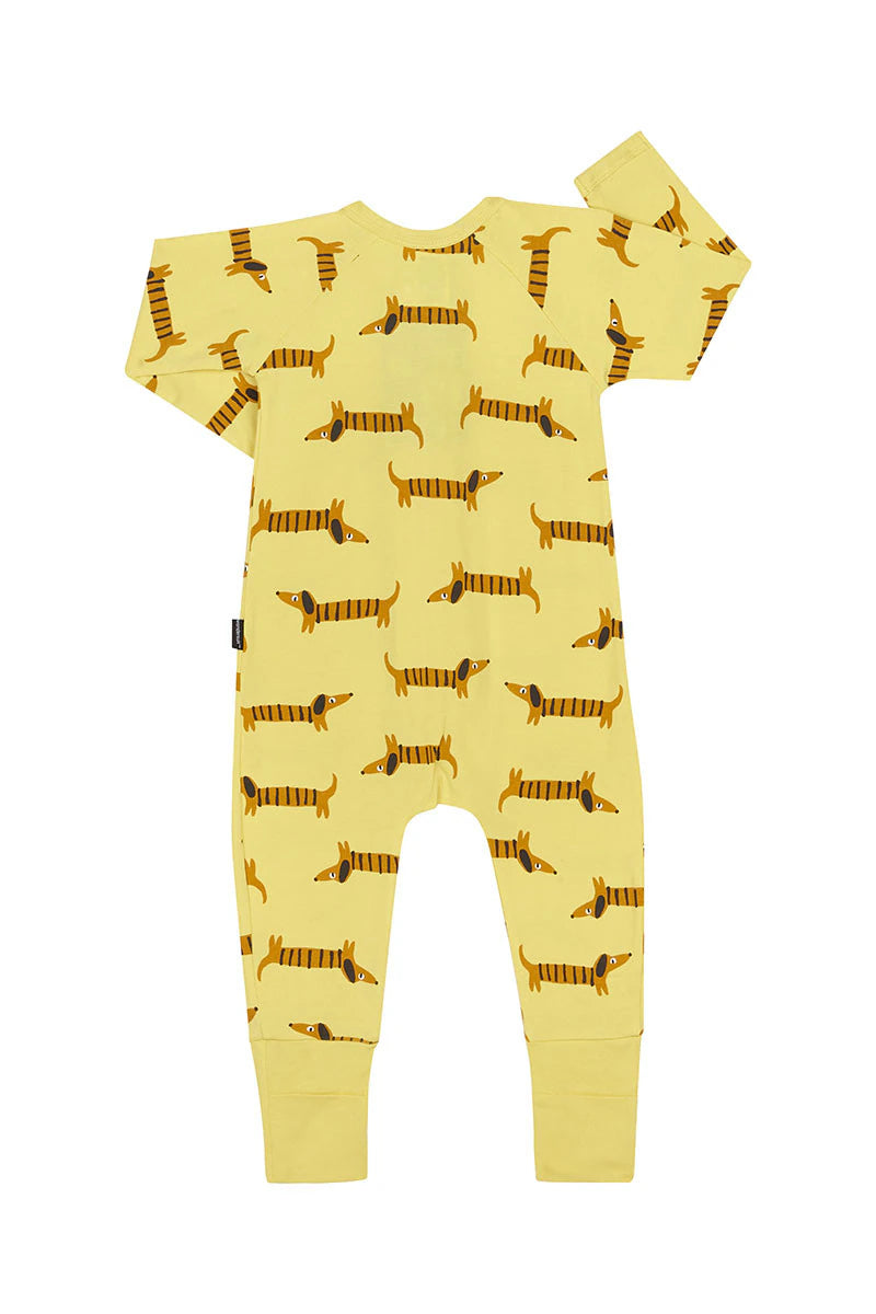 Bonds 2 Way Zip Wondersuit - Disco Dachshund Sour Puss Yellow