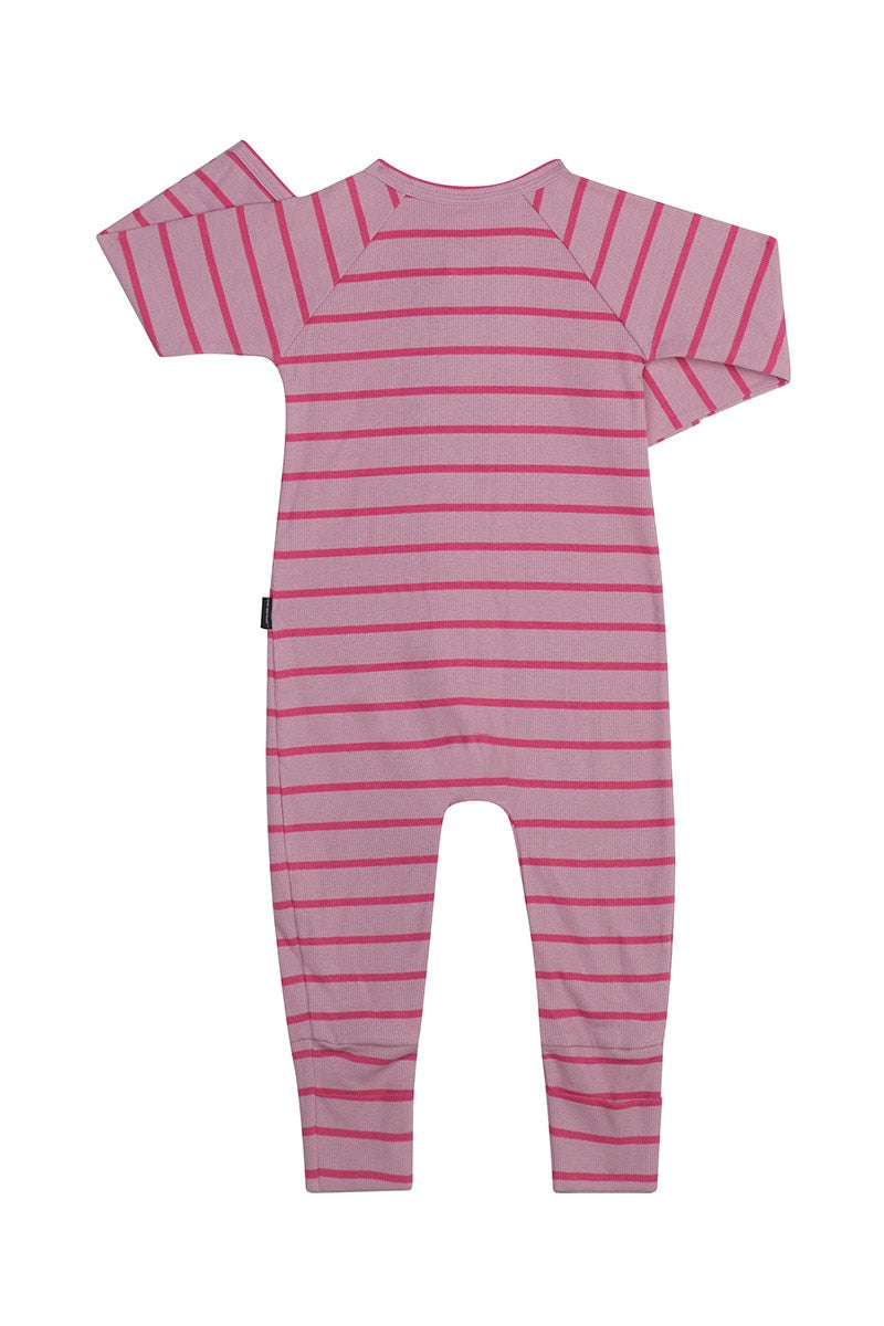 Bonds Ribbed Zip Wondersuit - Mademoiselle & Exotica Stripe