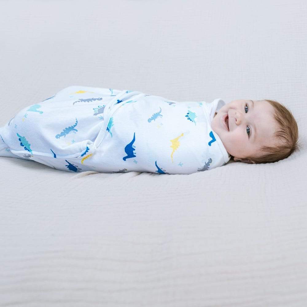 Aden and Anais 3 Pack Swaddle Wrap - Dino Rama